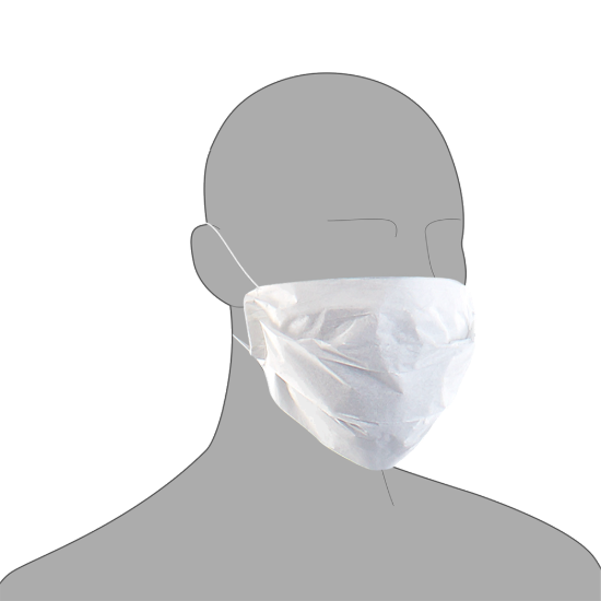 Picture of PAL Face Mask