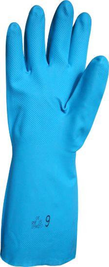 Picture of RNF15 - Blue