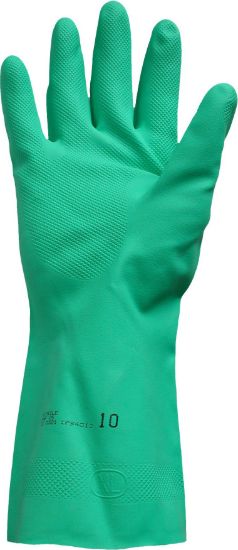 Picture of RNF15 - Green