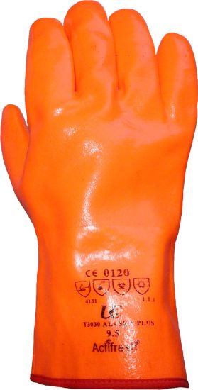 Picture of Alaska-GT