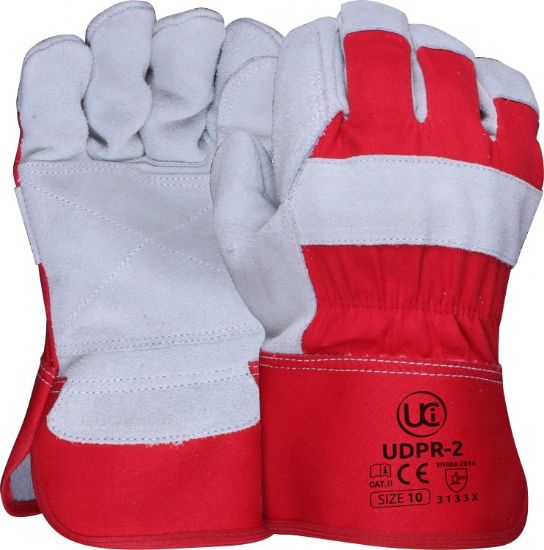 Picture of UDPR-2