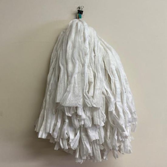 Picture of BIG WHITE KENTUCKY MOP HEAD (200G)